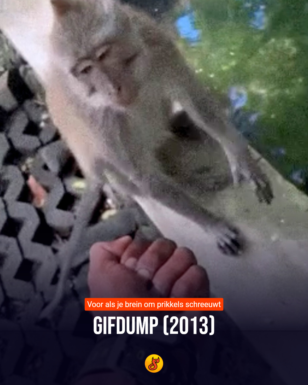Gifdump (2013)