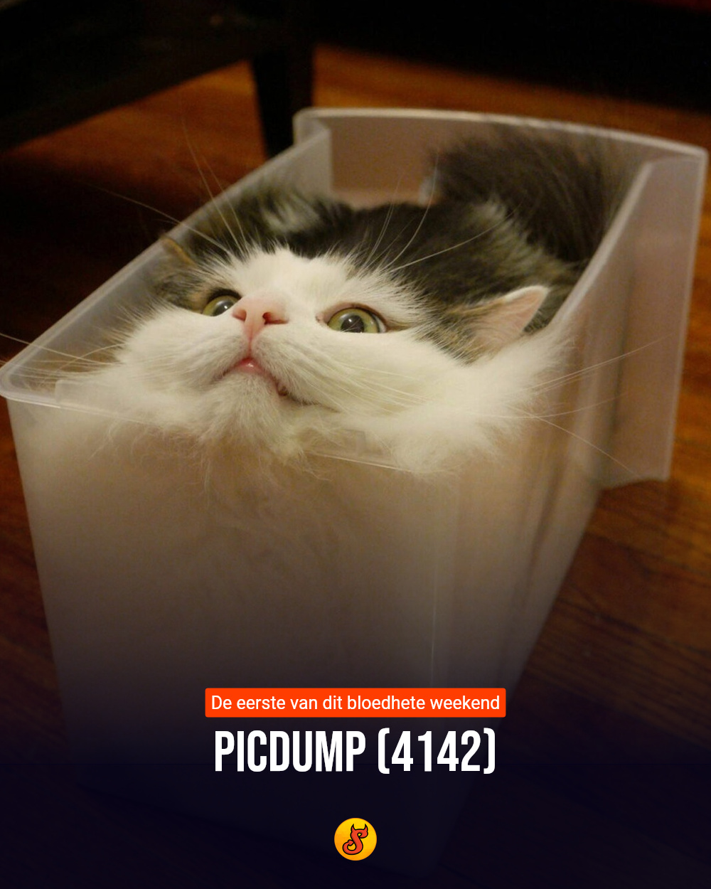 Picdump (4142)