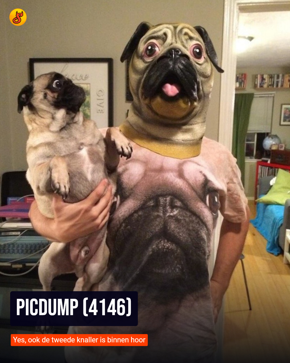 Picdump (4146)
