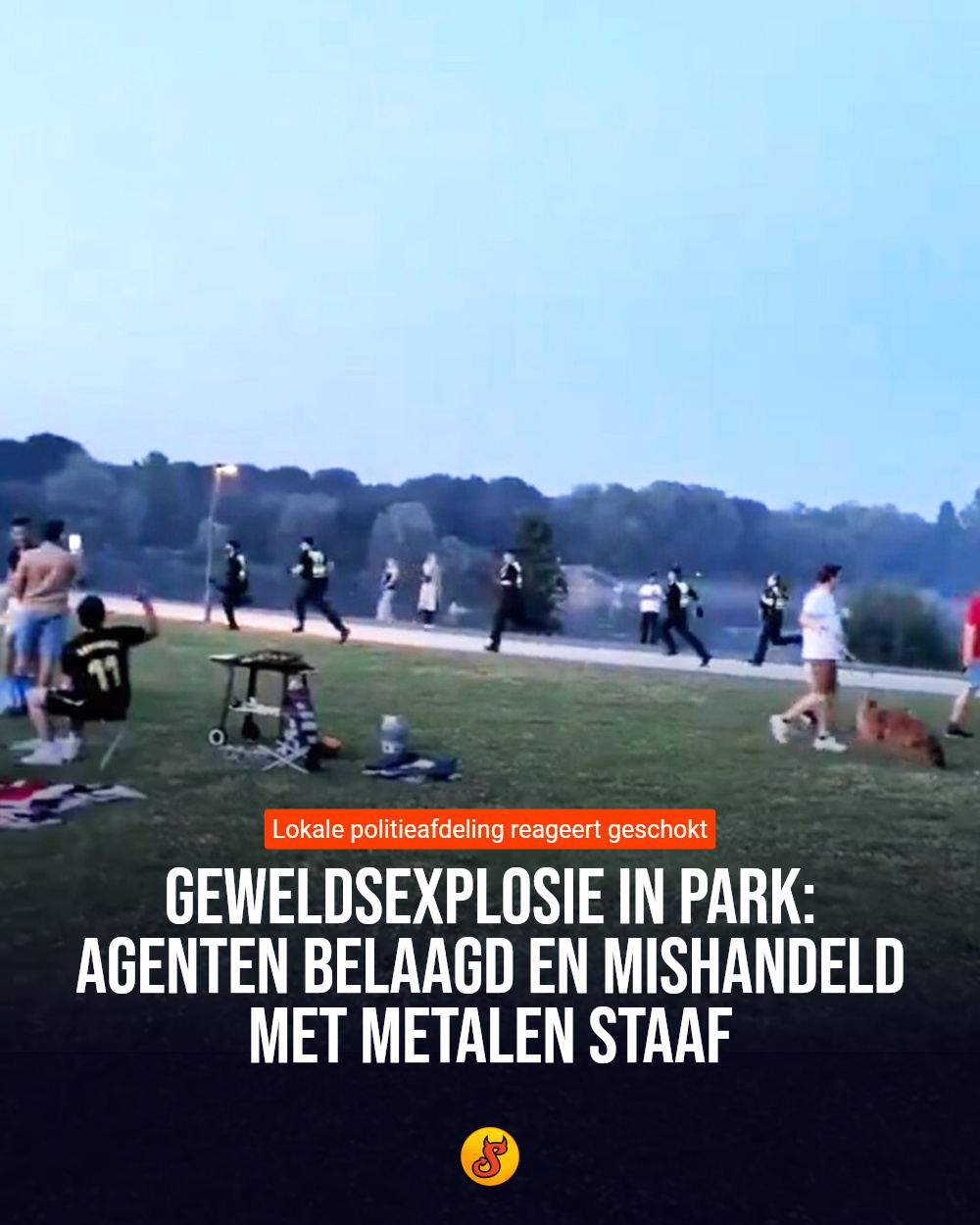Geweldsexplosie in park: Agenten belaagd en mishandeld met metalen staaf