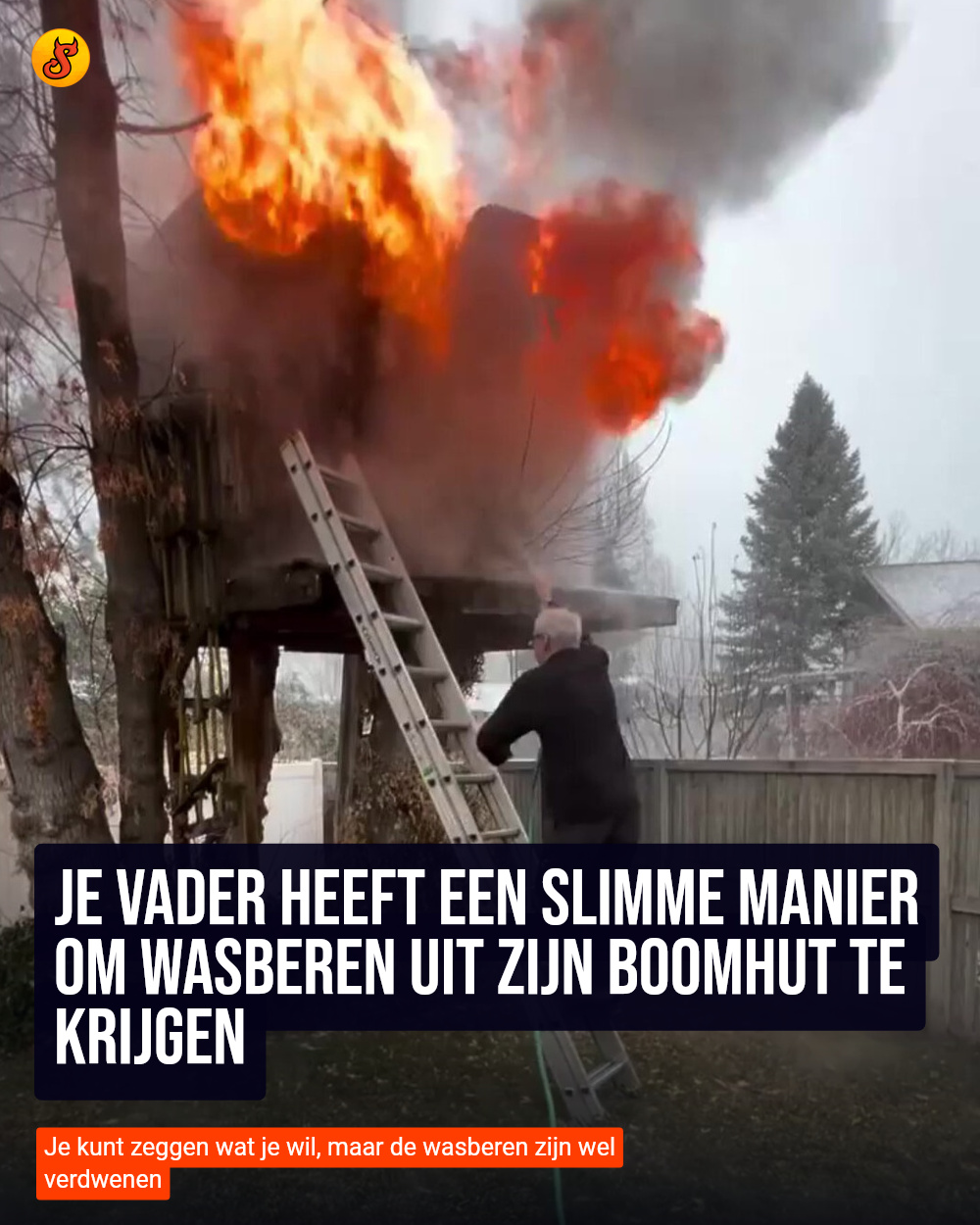 Je vader heeft een slimme manier om wasberen uit zijn boomhut te krijgen