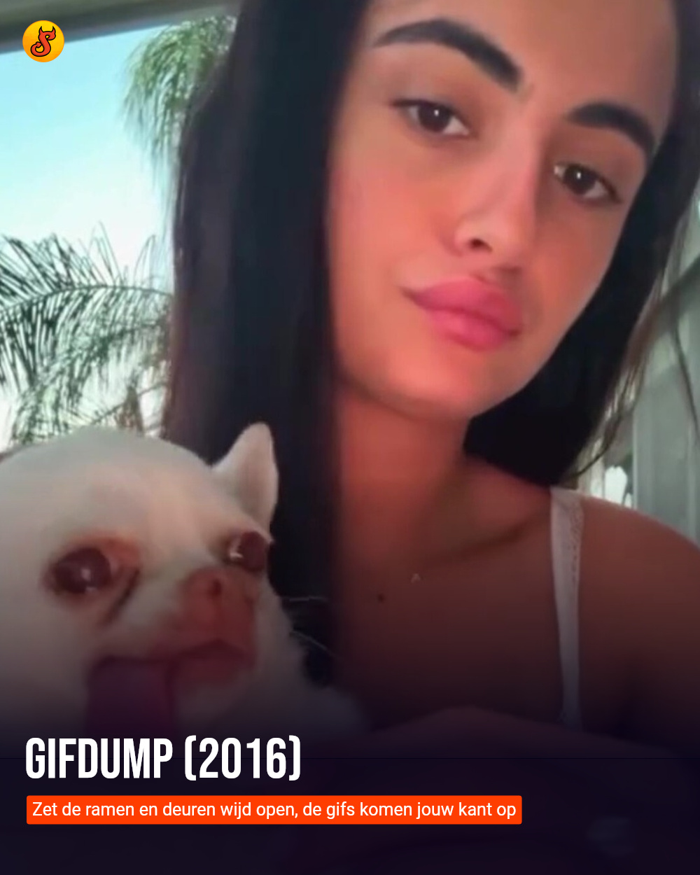 Gifdump (2016)