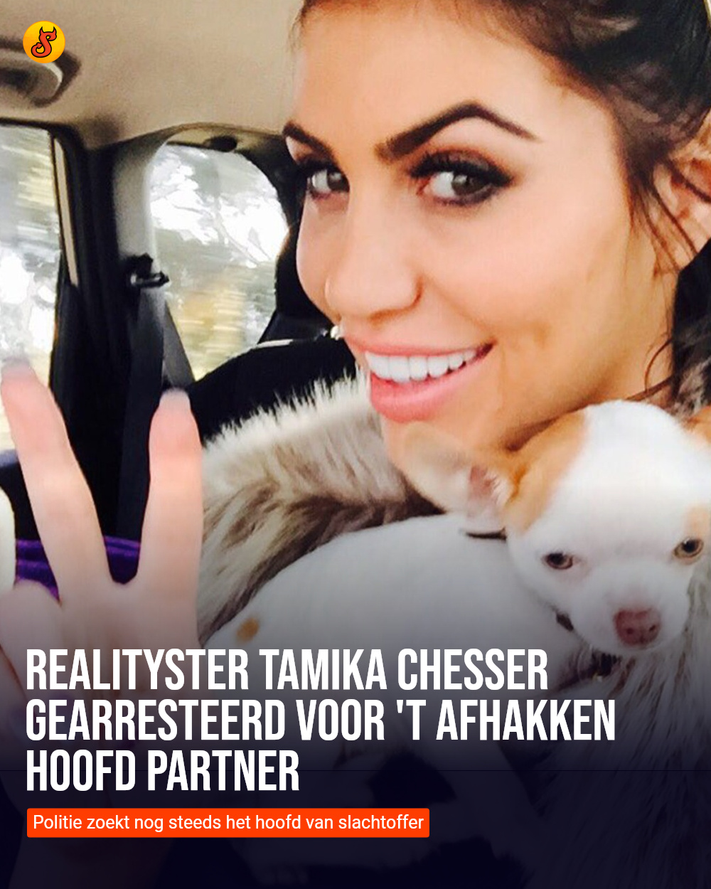 Realityster Tamika Chesser gearresteerd voor 't afhakken hoofd partner