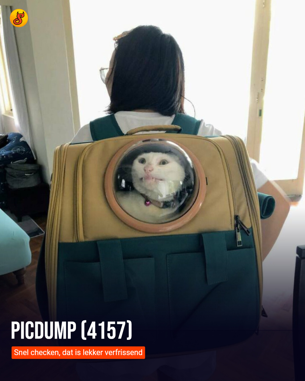 Picdump (4157)