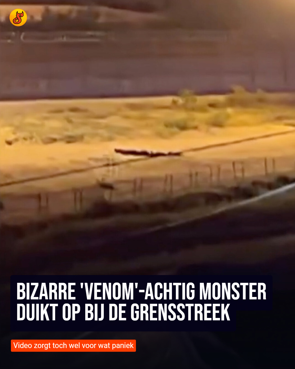 Bizarre 'Venom'-achtig monster duikt op bij de grensstreek
