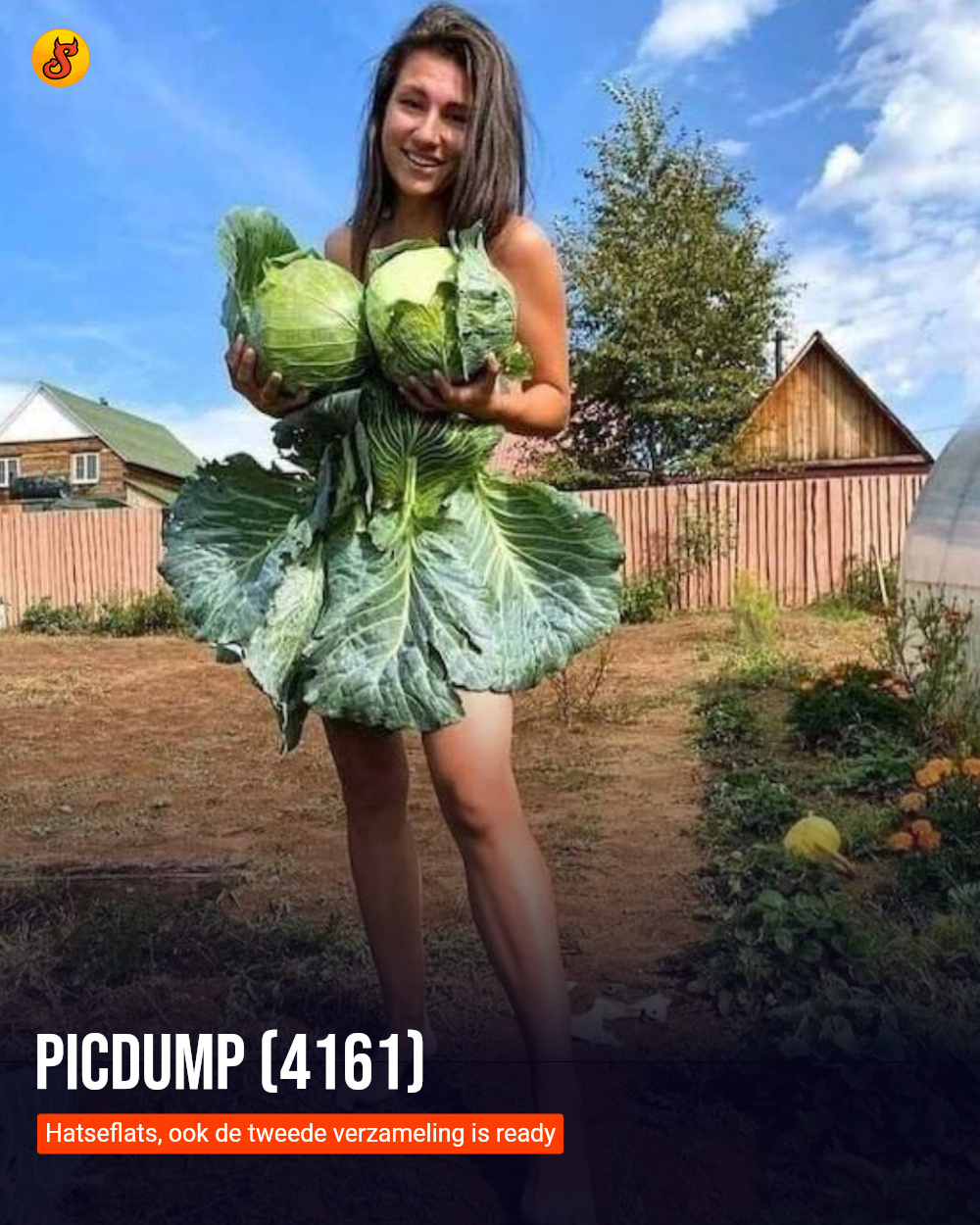 Picdump (4161)