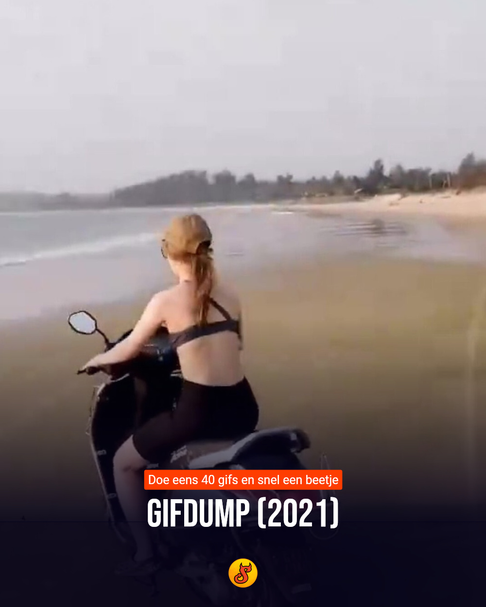 Gifdump (2021)