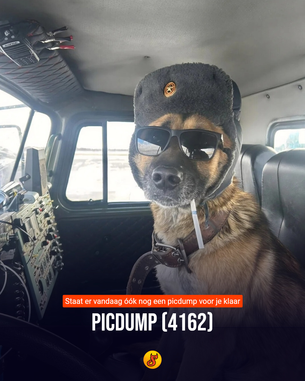 Picdump (4162)