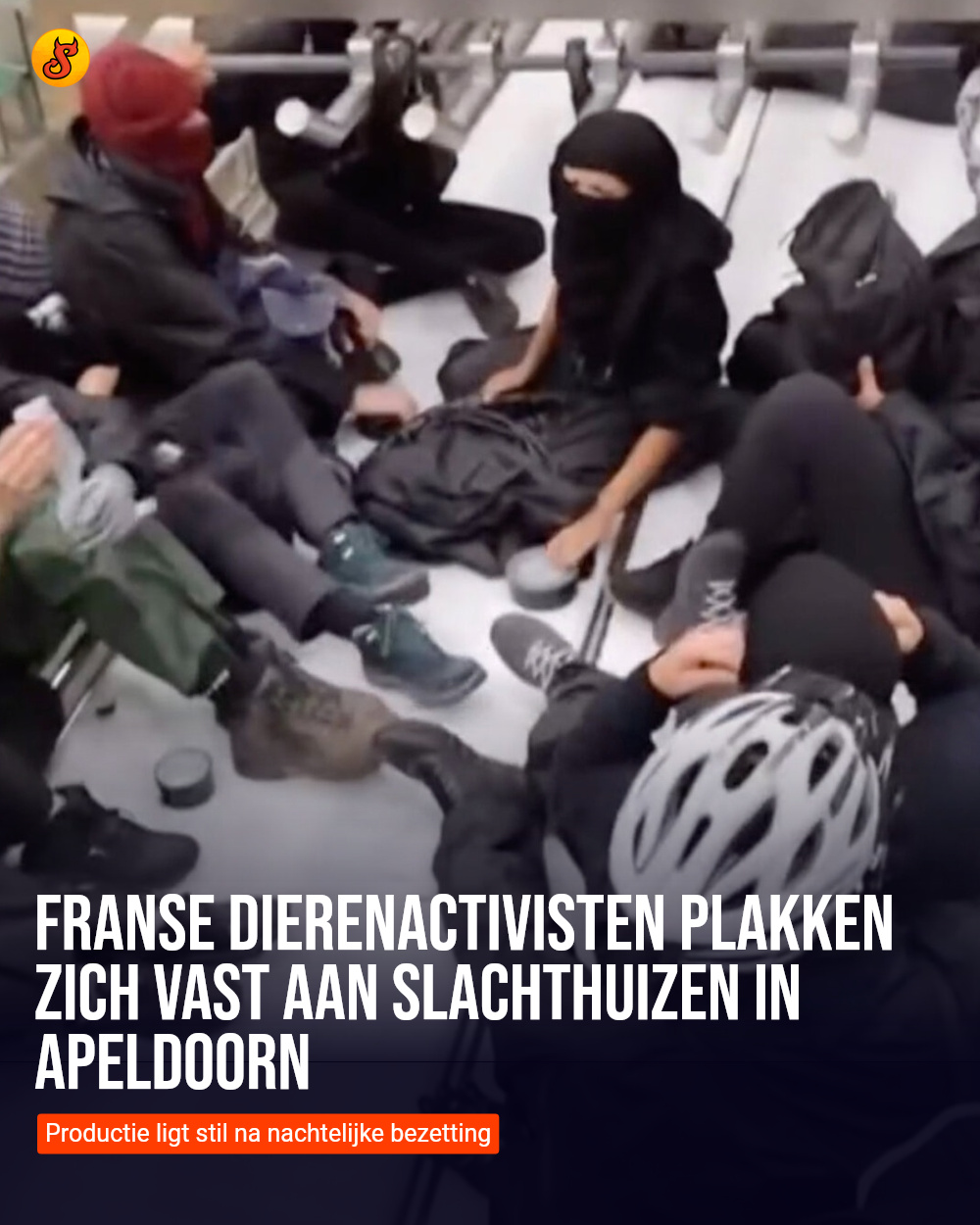 Franse dierenactivisten plakken zich vast aan slachthuizen in Apeldoorn