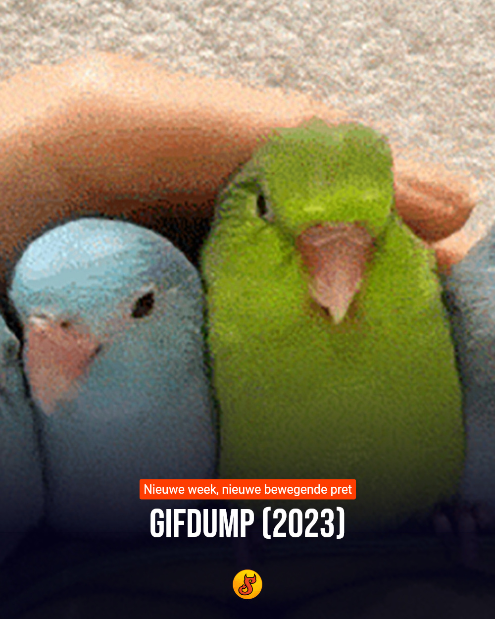 Gifdump (2023)