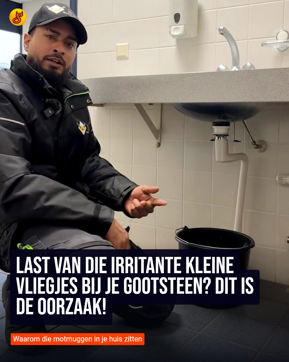 Last van die irritante kleine vliegjes bij je gootsteen? Dit is de oorzaak!