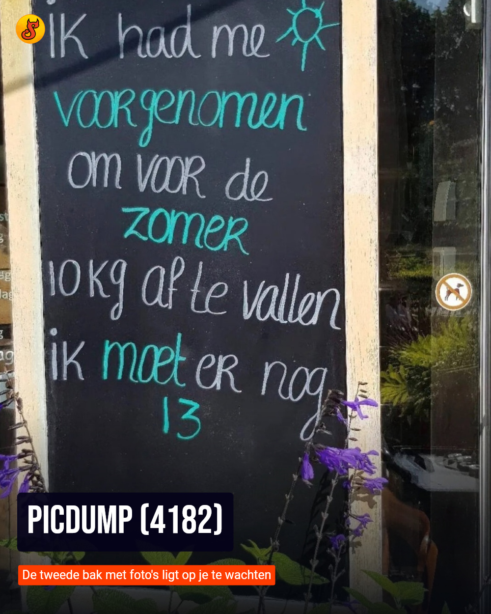 Picdump (4182)
