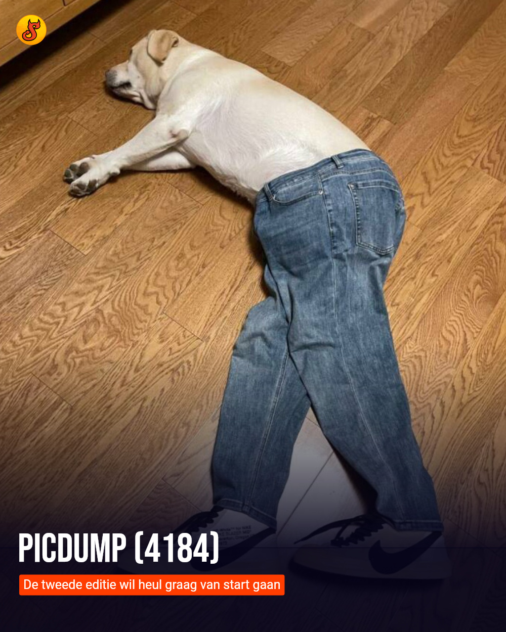 Picdump (4184)