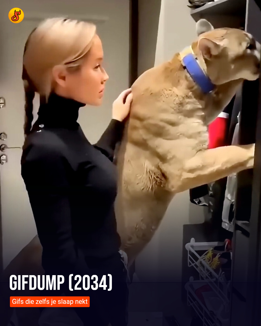 Gifdump (2034)