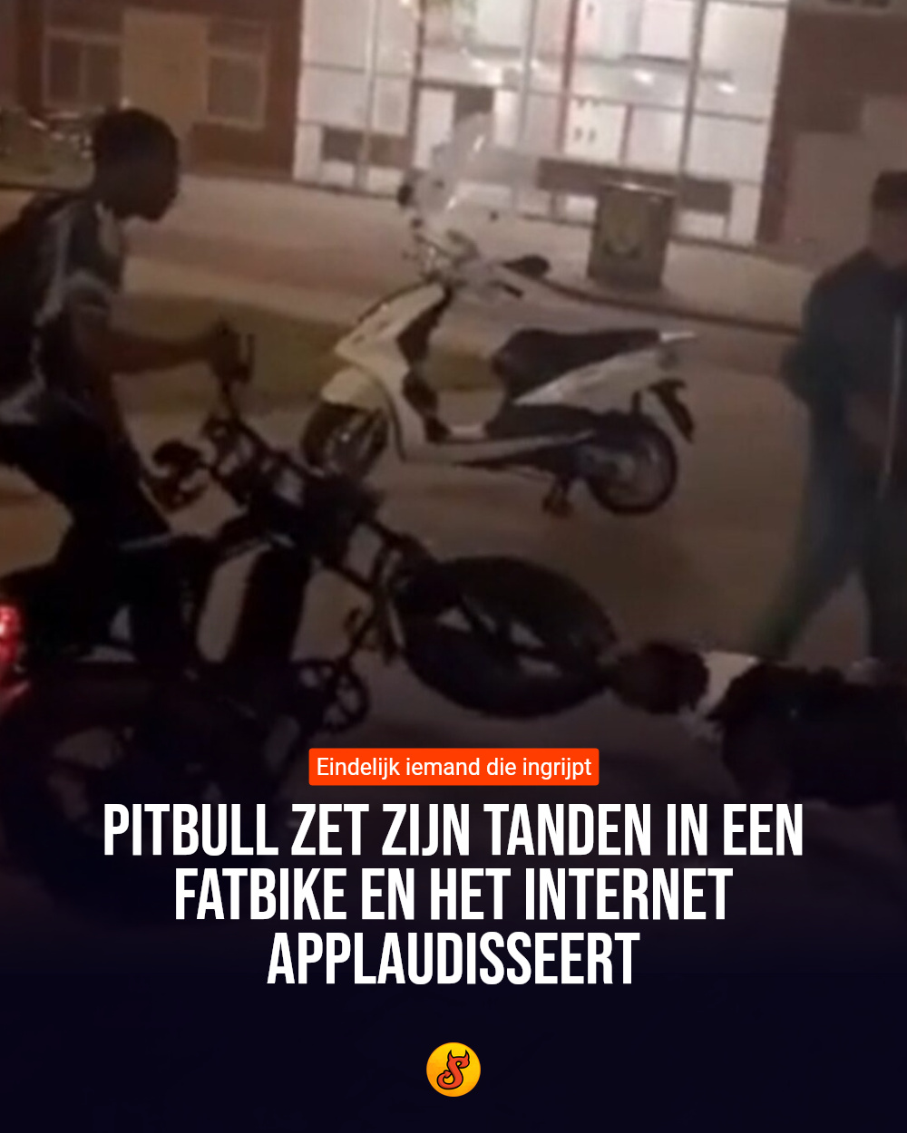 Pitbull zet zijn tanden in een fatbike en het internet applaudisseert