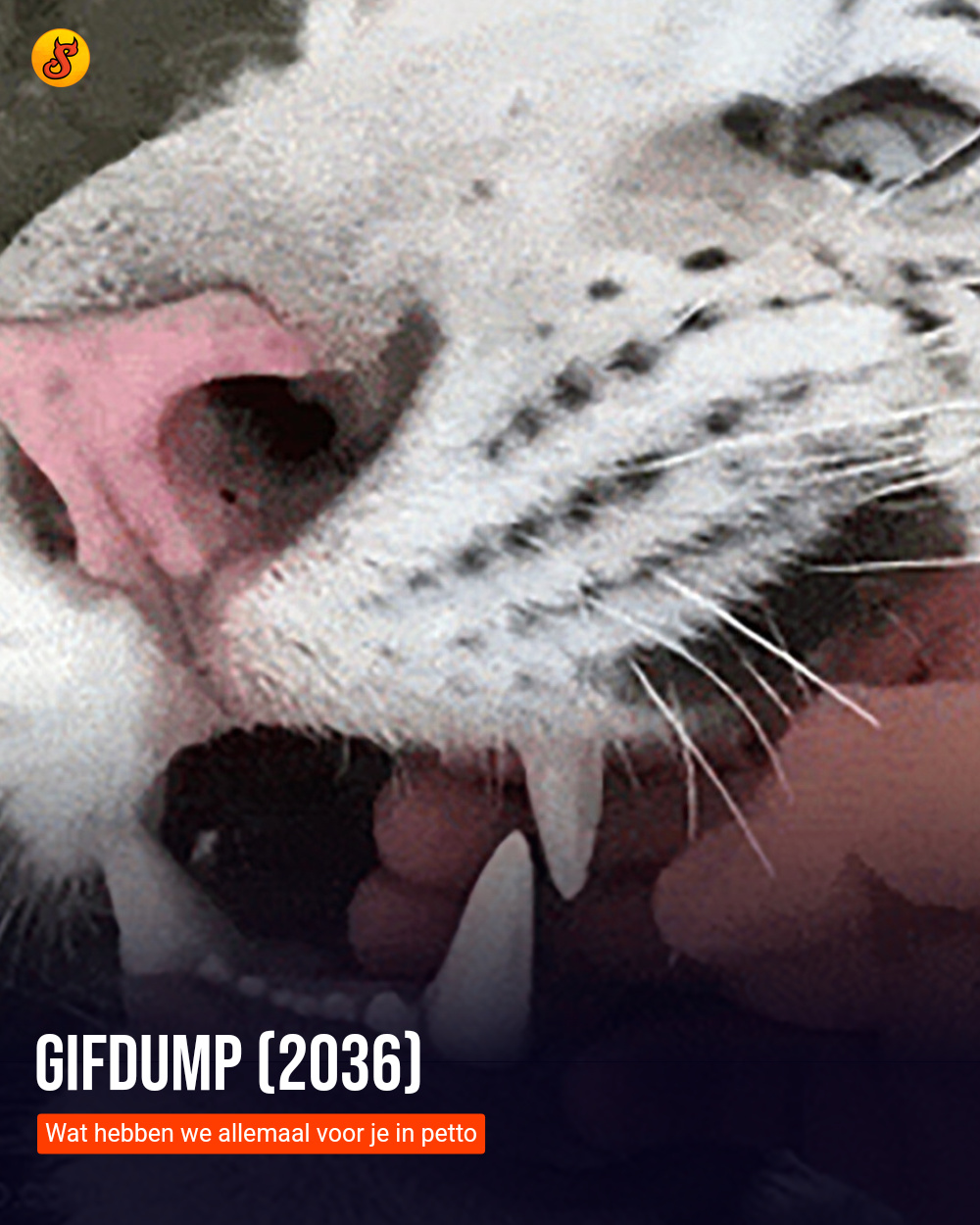 Gifdump (2036)
