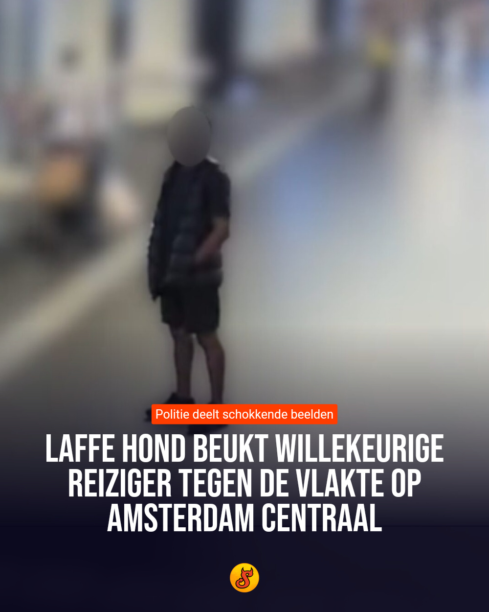Laffe hond beukt willekeurige reiziger tegen de vlakte op Amsterdam Centraal