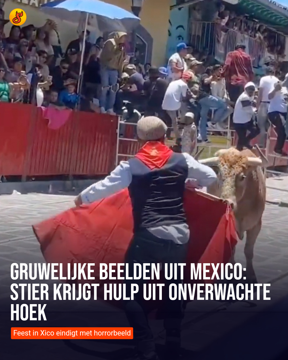 Gruwelijke beelden uit Mexico: Stier krijgt hulp uit onverwachte hoek