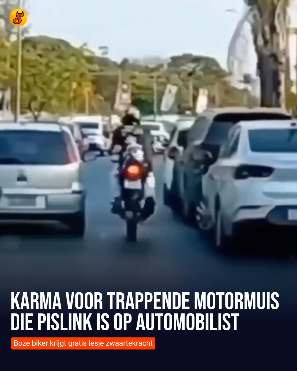 Karma voor trappende motormuis die pislink is op automobilist