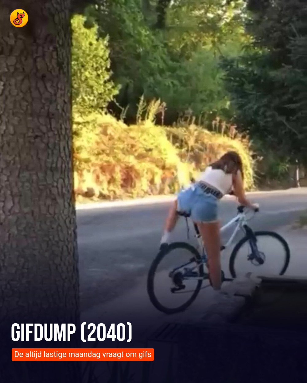 Gifdump (2040)