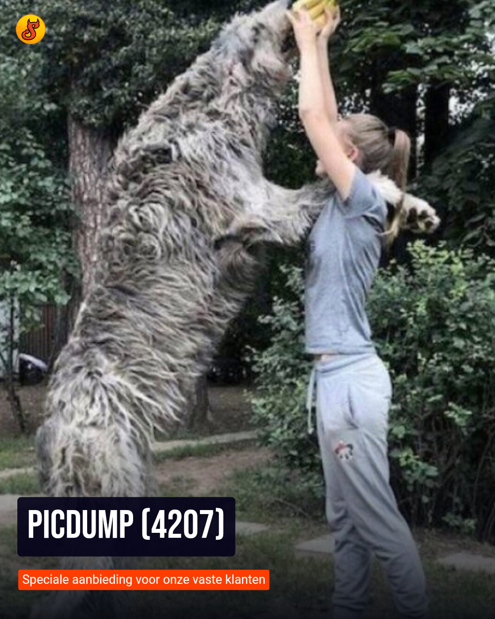 Picdump (4207)
