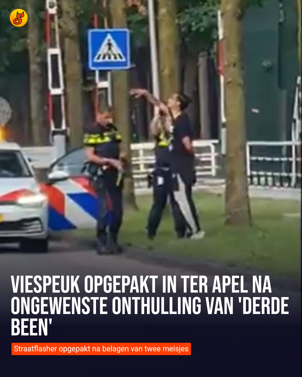 Viespeuk opgepakt in Ter Apel na ongewenste onthulling van 'derde been'