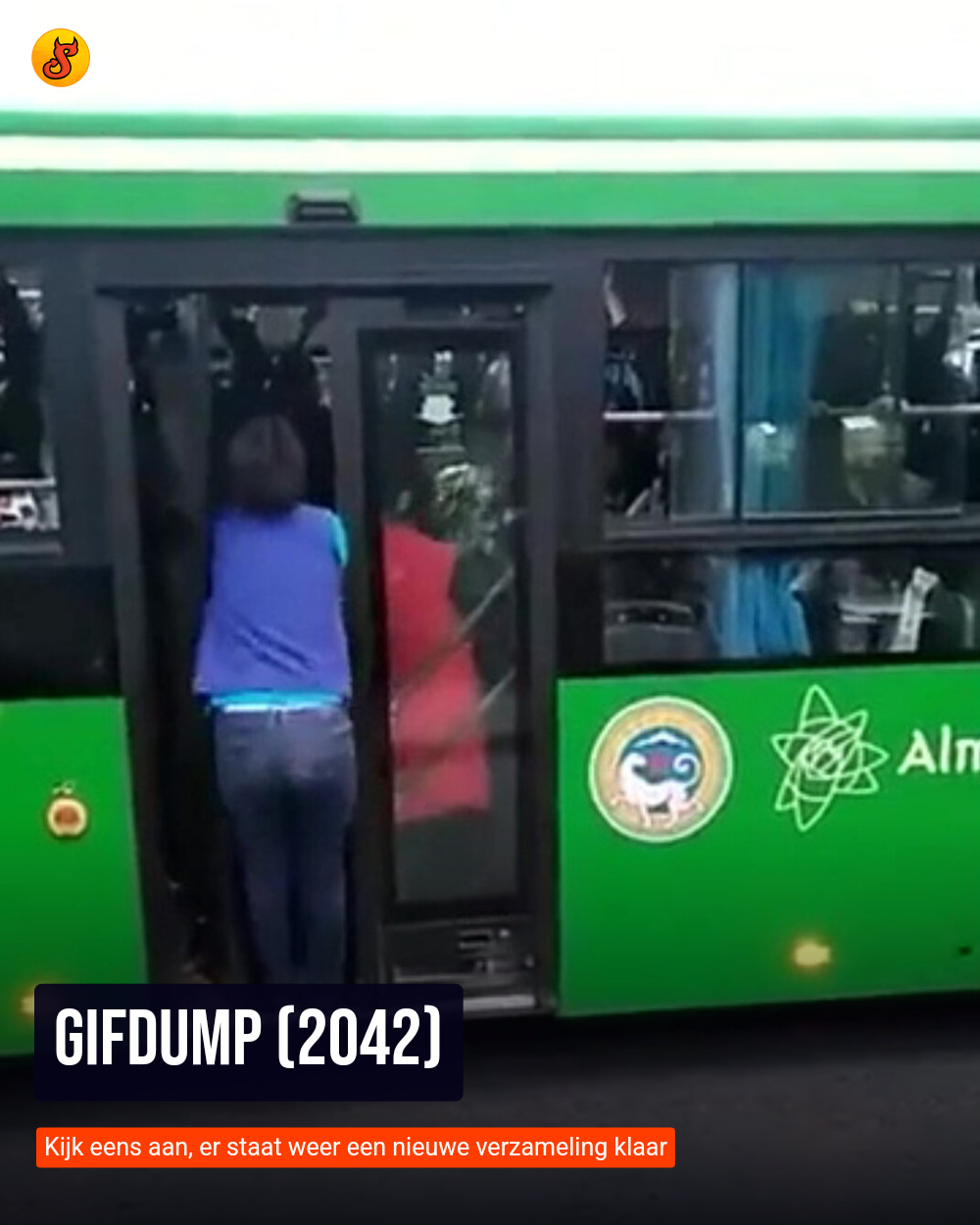 Gifdump (2042)