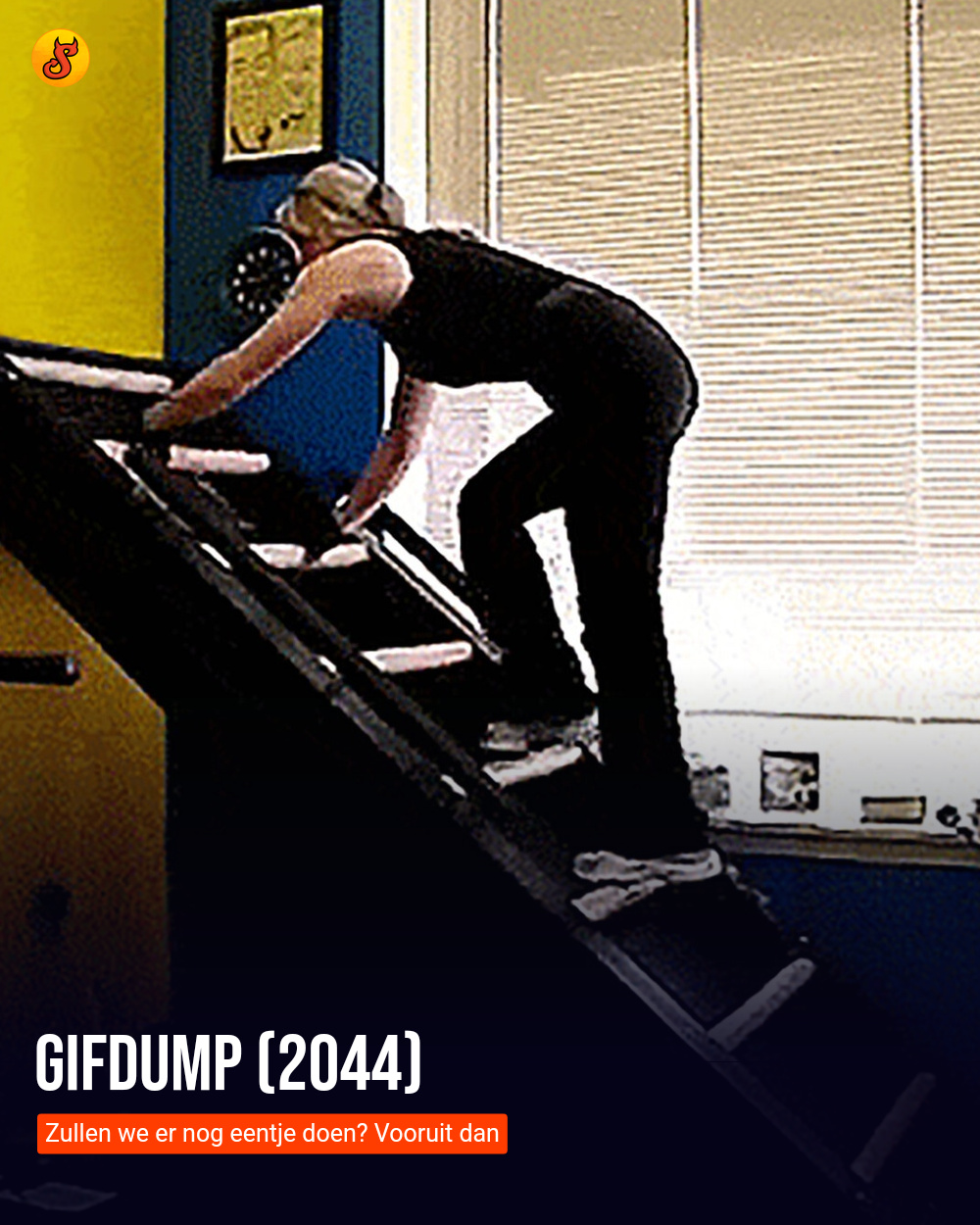 Gifdump (2044)