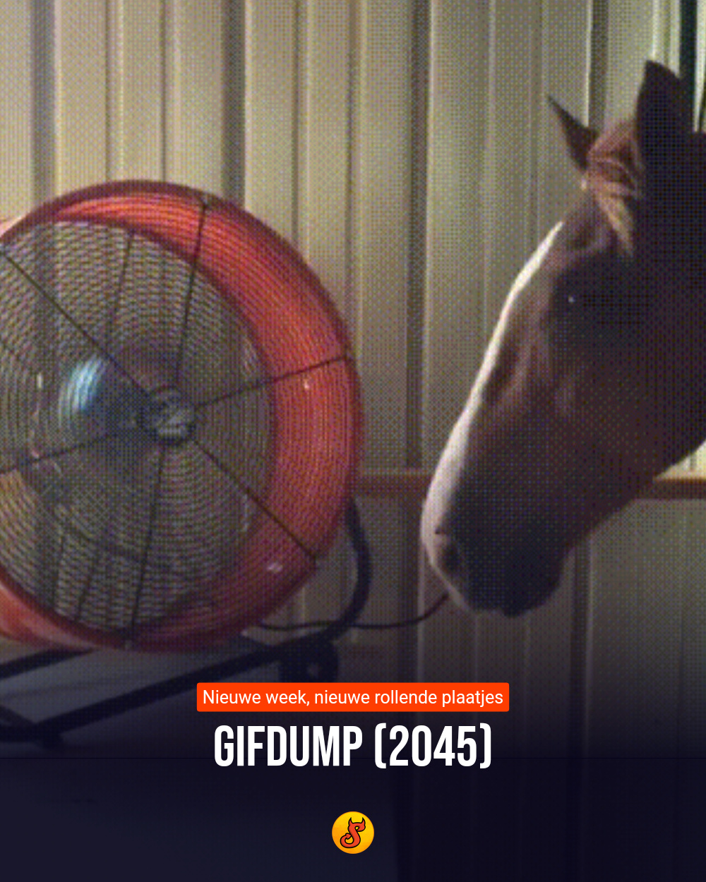 Gifdump (2045)