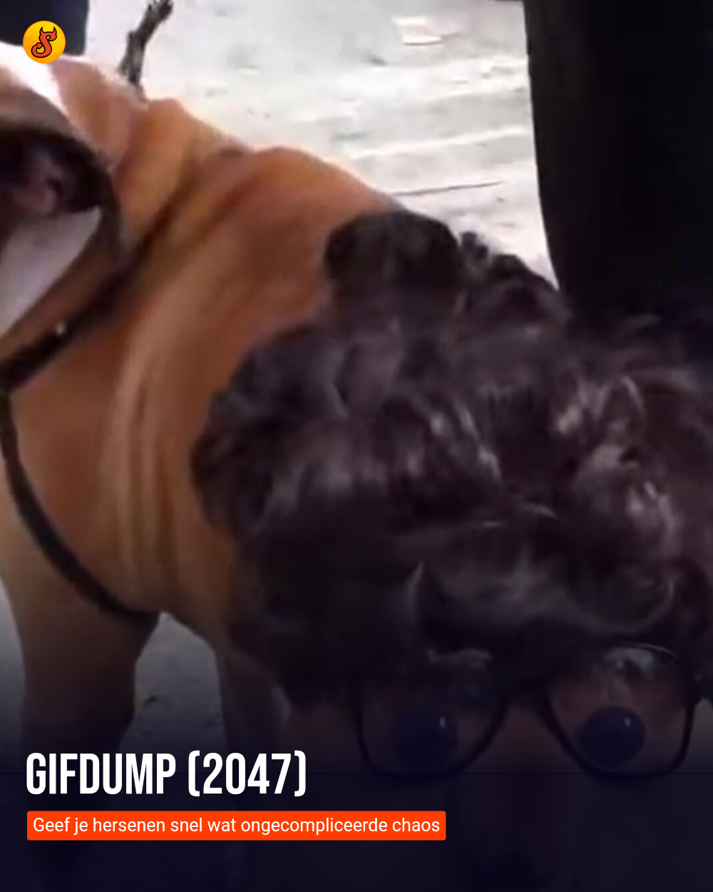 Gifdump (2047)