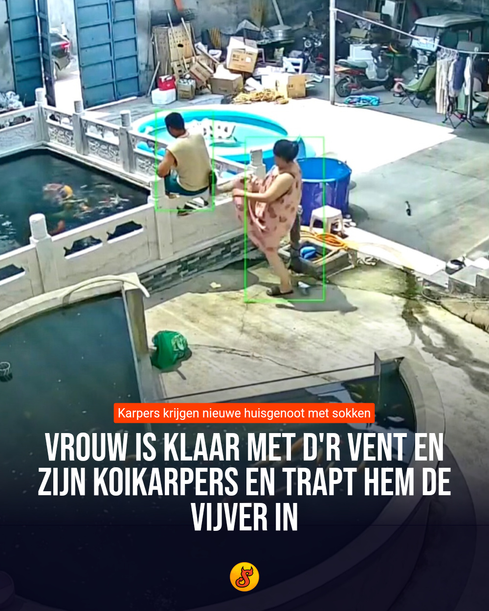 Vrouw is klaar met d'r vent en zijn koikarpers en trapt hem de vijver in