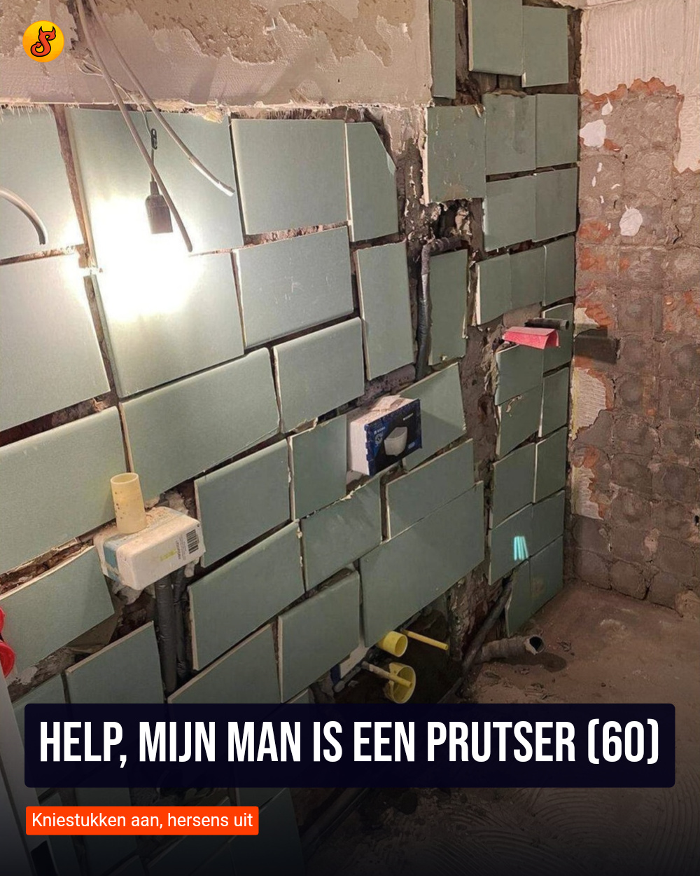 Help, mijn man is een prutser (60)