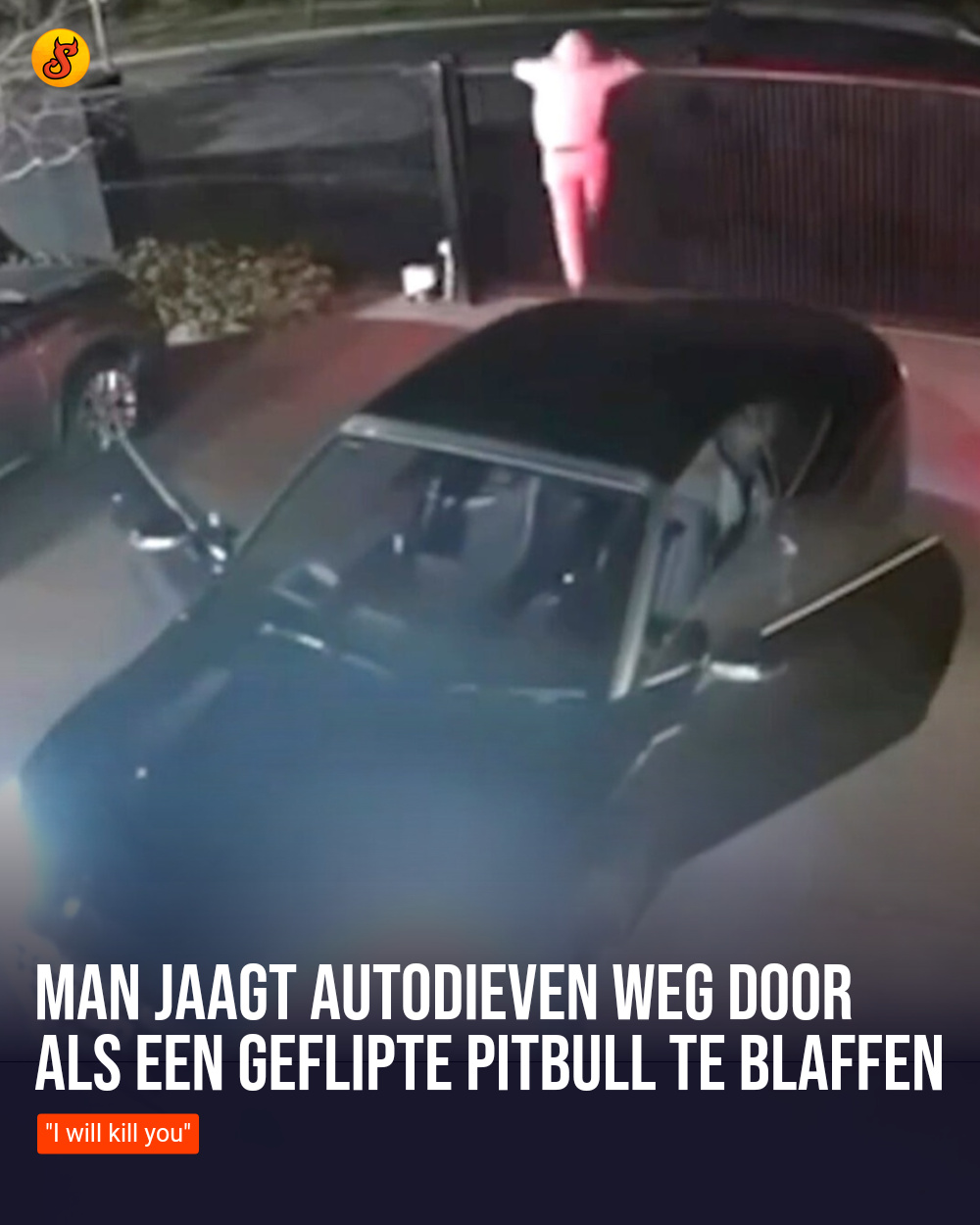 Man jaagt autodieven weg door als een geflipte pitbull te blaffen