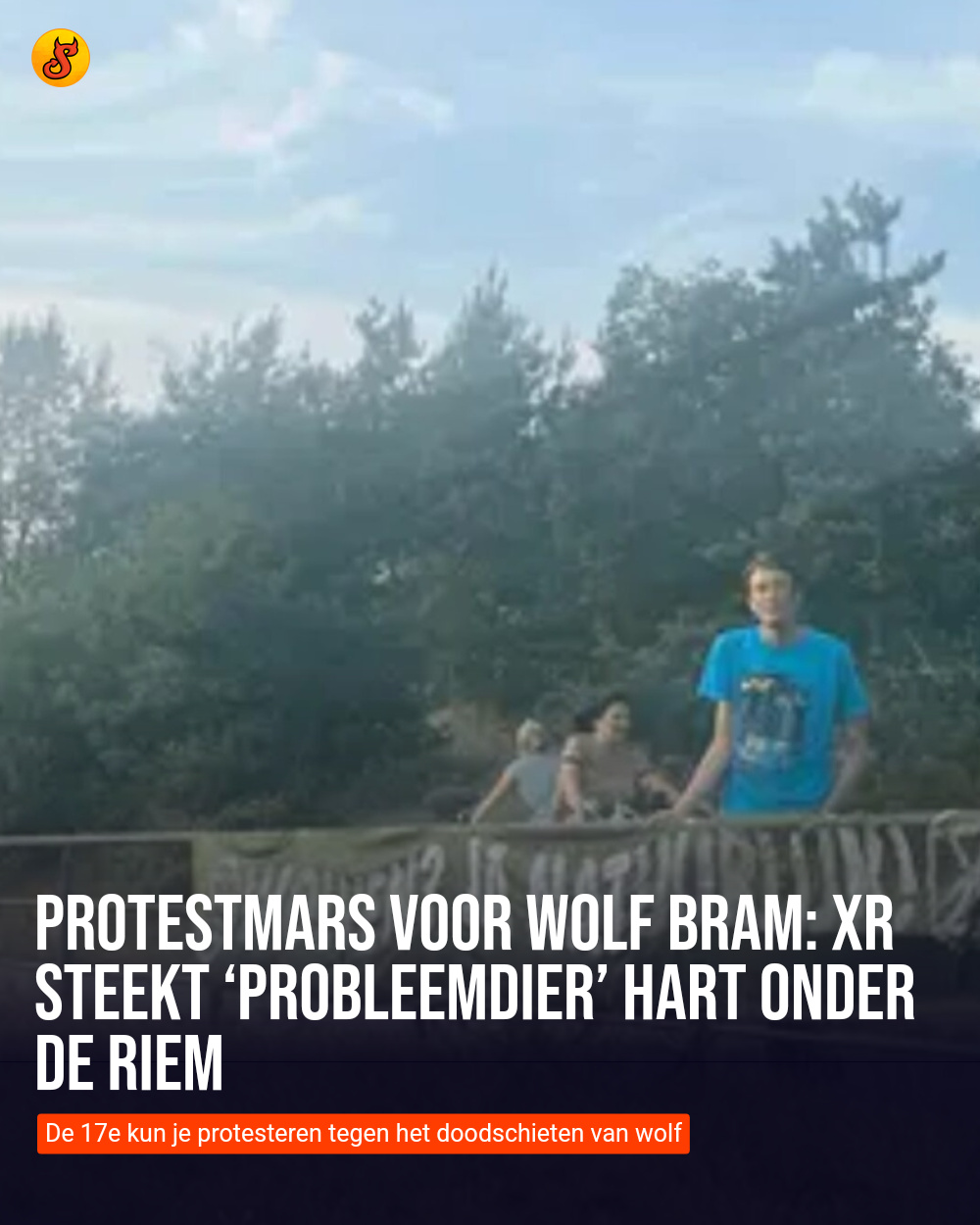 Protestmars voor wolf Bram: XR steekt ‘probleemdier’ hart onder de riem