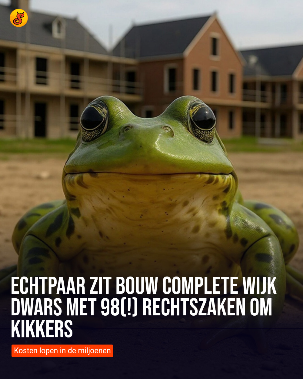 Echtpaar zit bouw complete wijk dwars met 98(!) rechtszaken om kikkers
