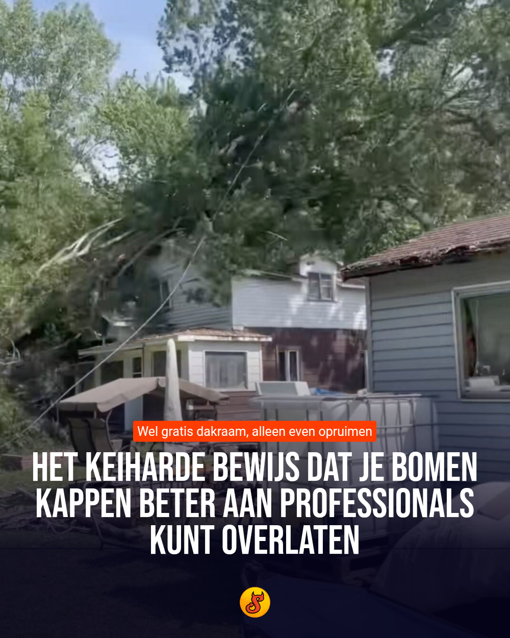 Het keiharde bewijs dat je bomen kappen beter aan professionals kunt overlaten