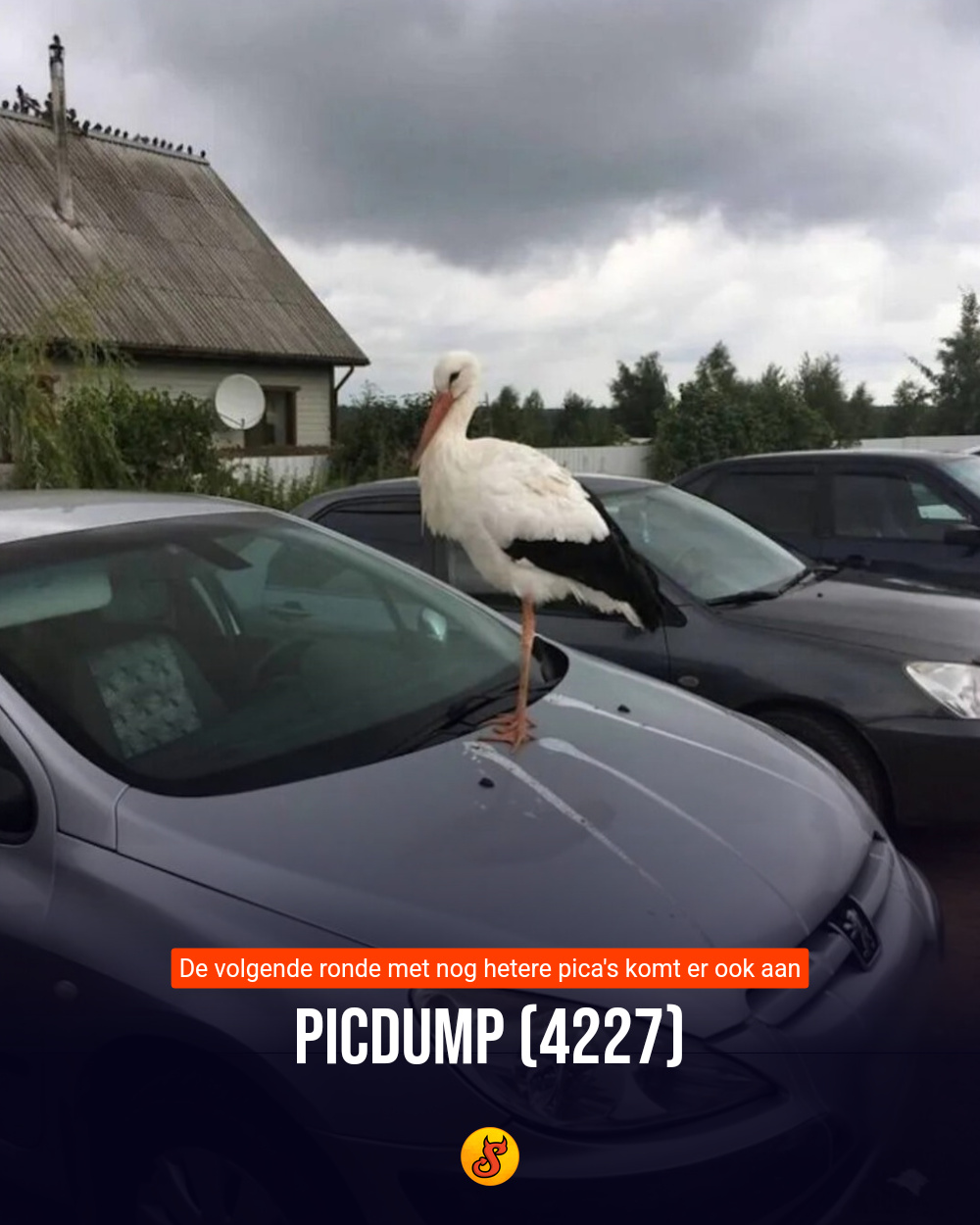 Picdump (4227)