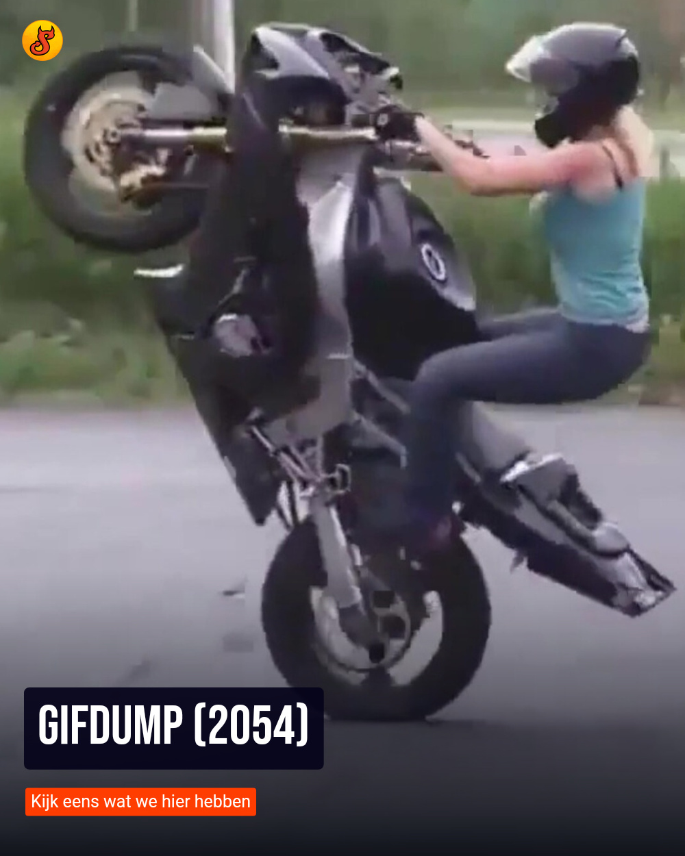 Gifdump (2054)