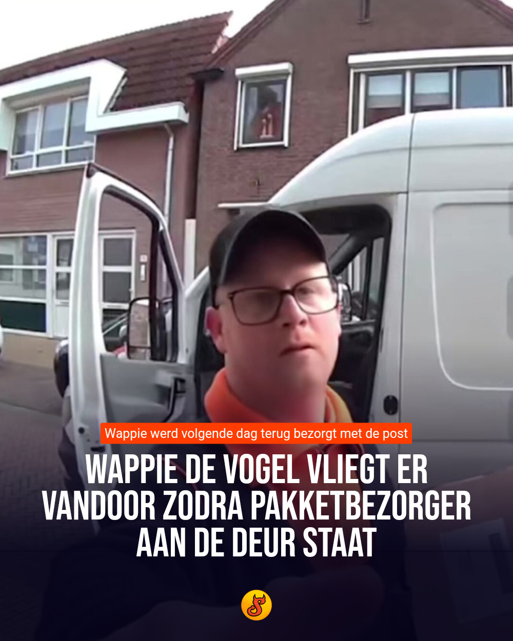 Wappie de vogel vliegt er vandoor zodra pakketbezorger aan de deur staat