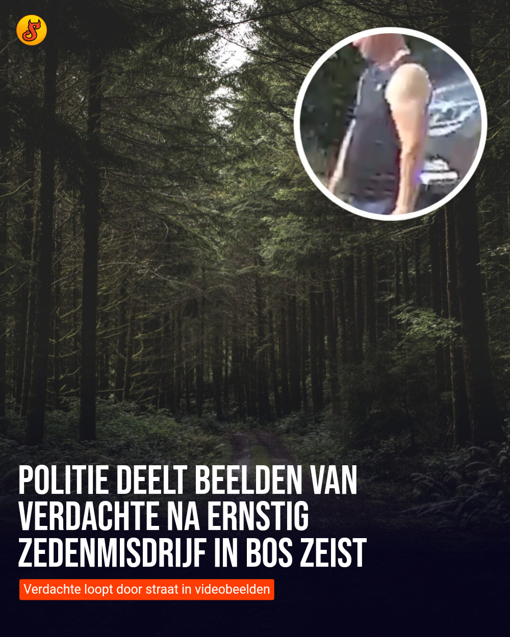 Politie deelt beelden van verdachte na ernstig zedenmisdrijf in bos Zeist