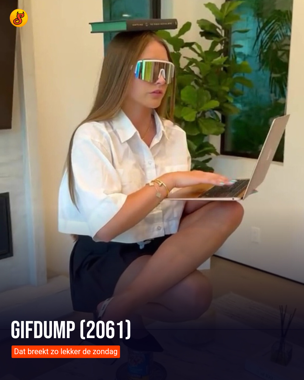 Gifdump (2061)