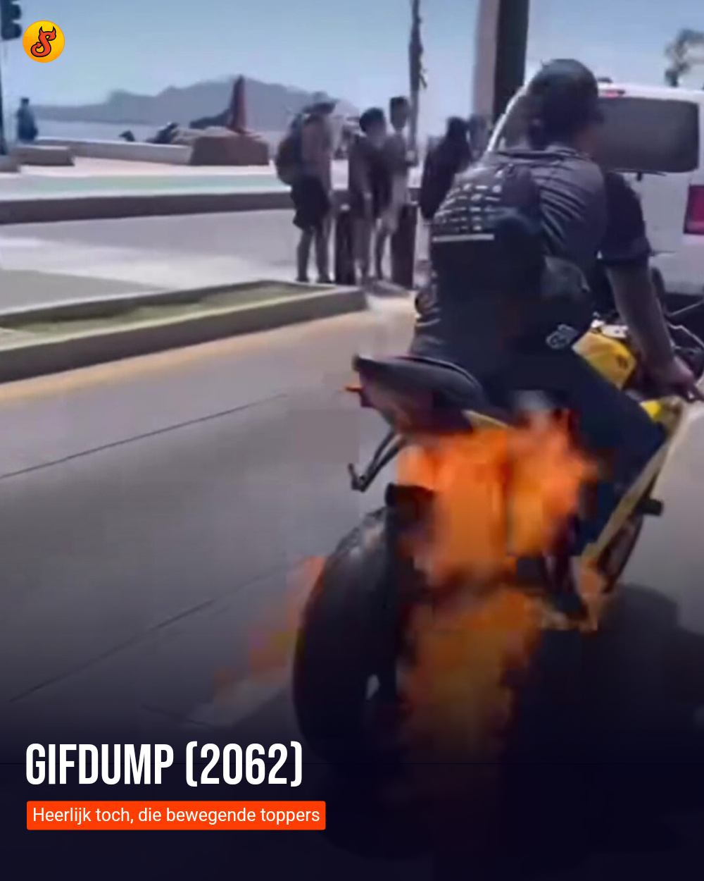 Gifdump (2062)