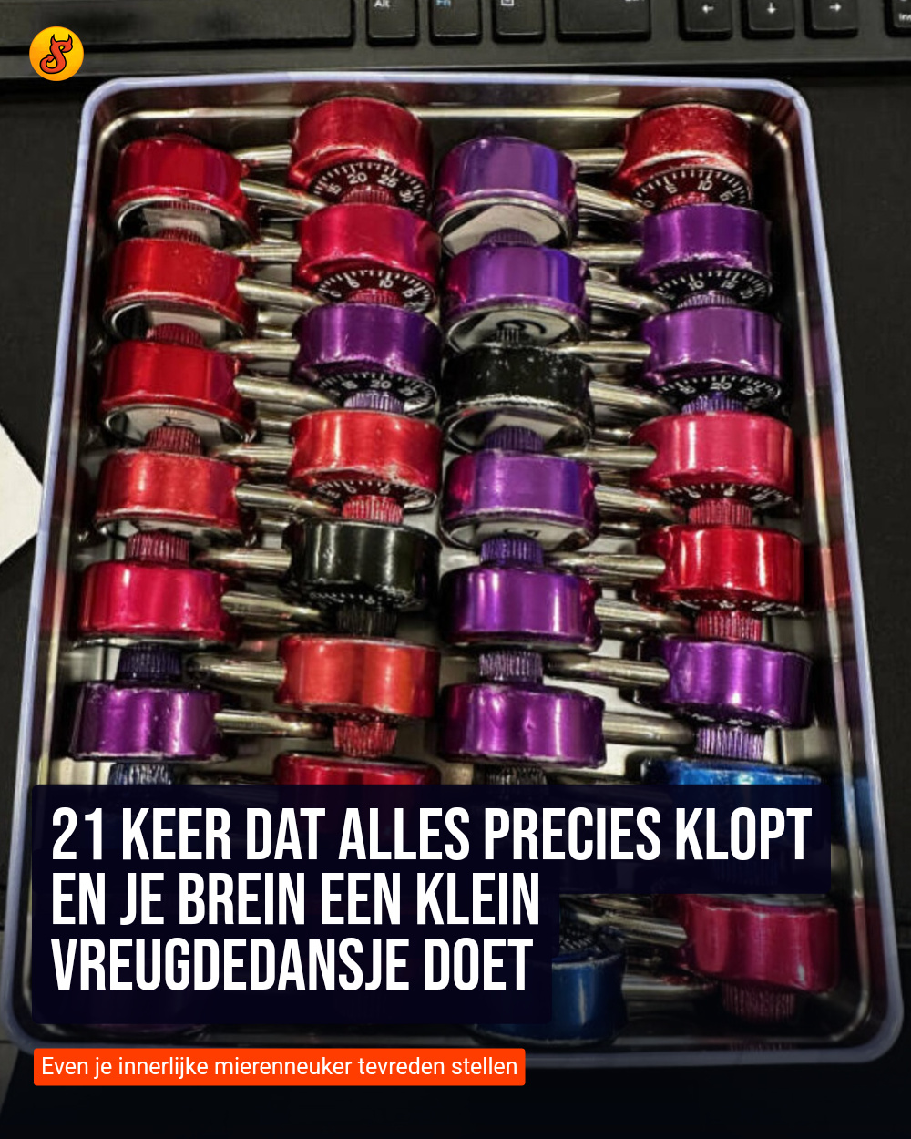 21 keer dat alles precies klopt en je brein een klein vreugdedansje doet