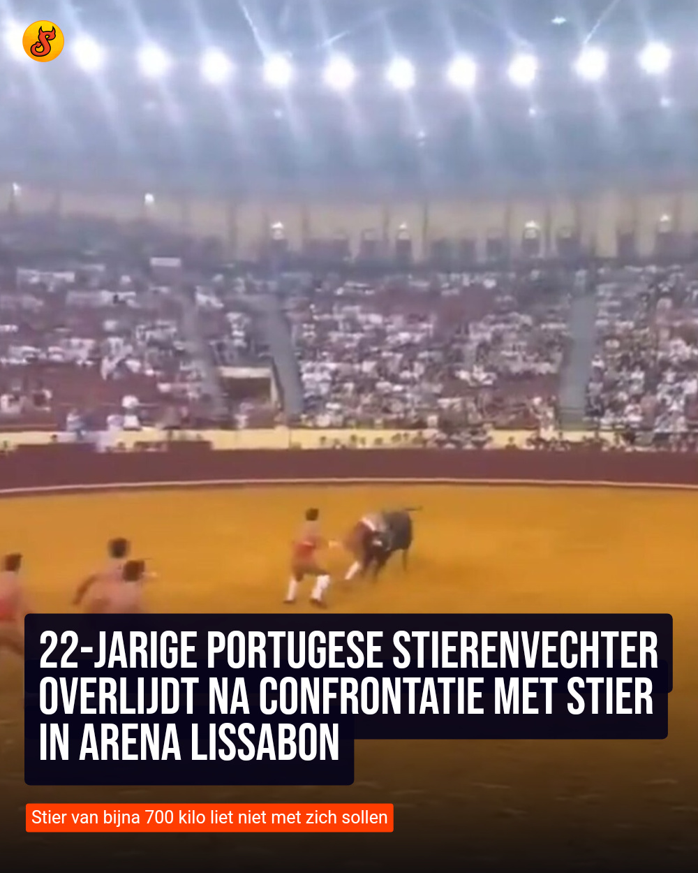 22-jarige Portugese stierenvechter overlijdt na confrontatie met stier in arena Lissabon
