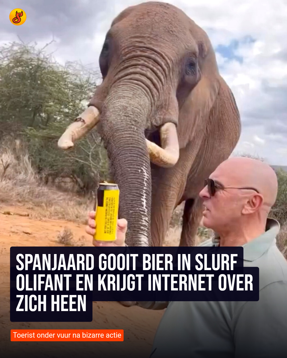 Spanjaard gooit bier in slurf olifant en krijgt internet over zich heen