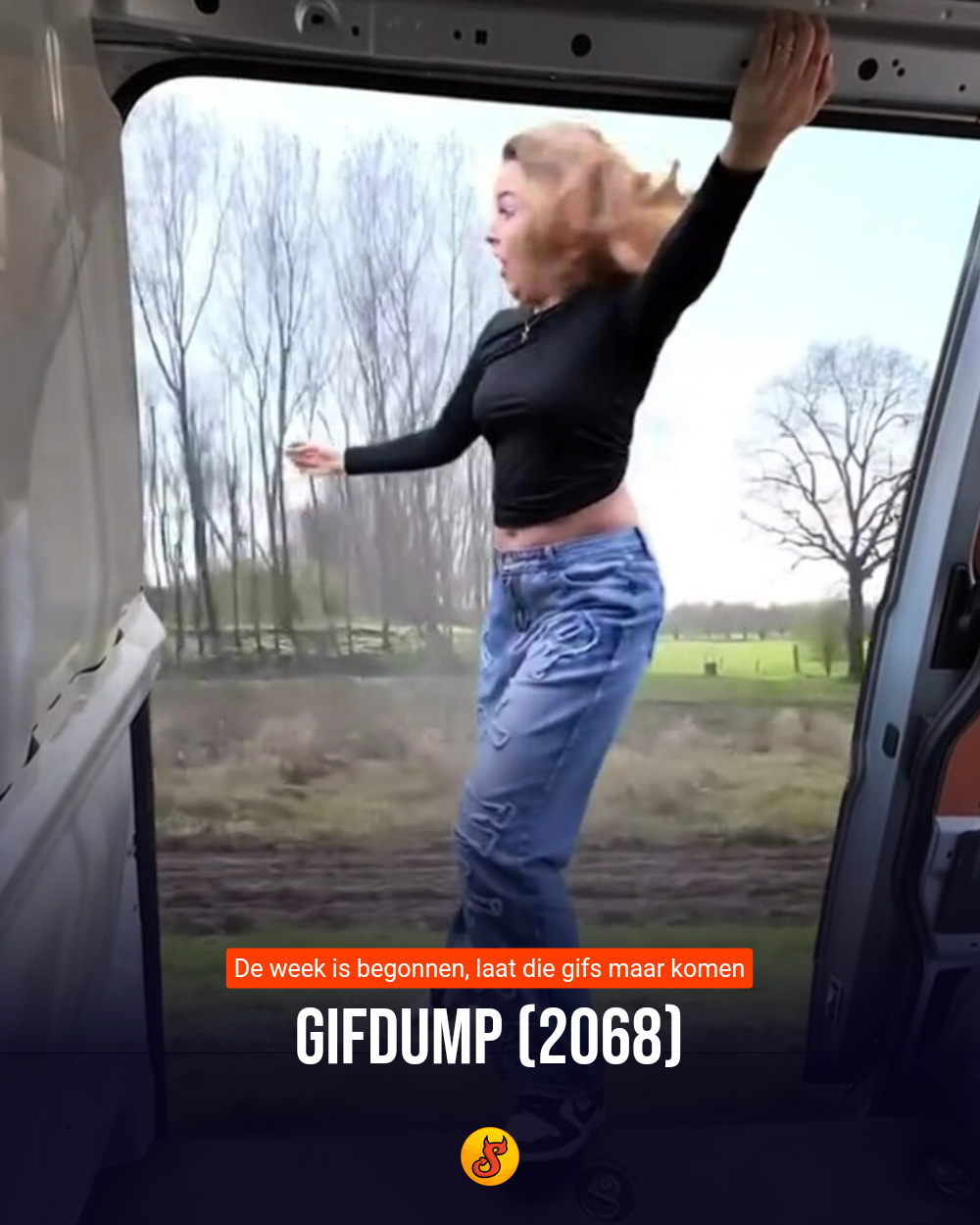 Gifdump (2068)