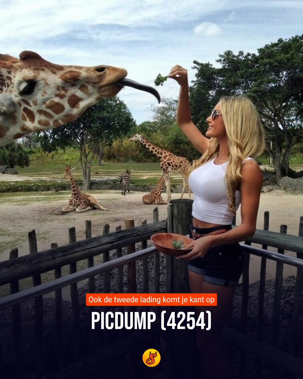 Picdump (4254)