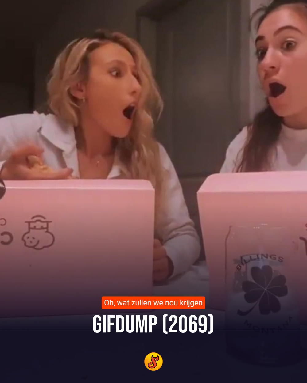 Gifdump (2069)