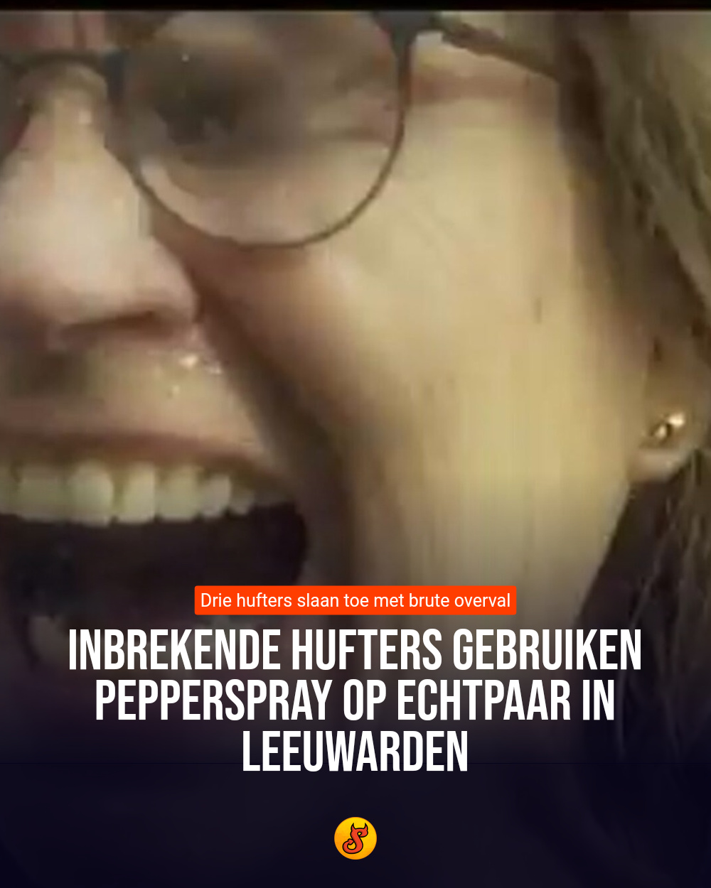 Inbrekende hufters gebruiken pepperspray op echtpaar in Leeuwarden
