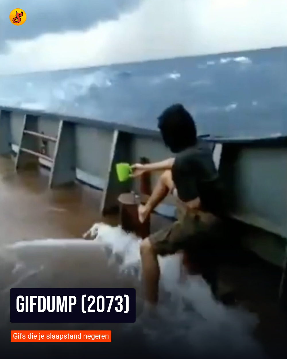 Gifdump (2073)